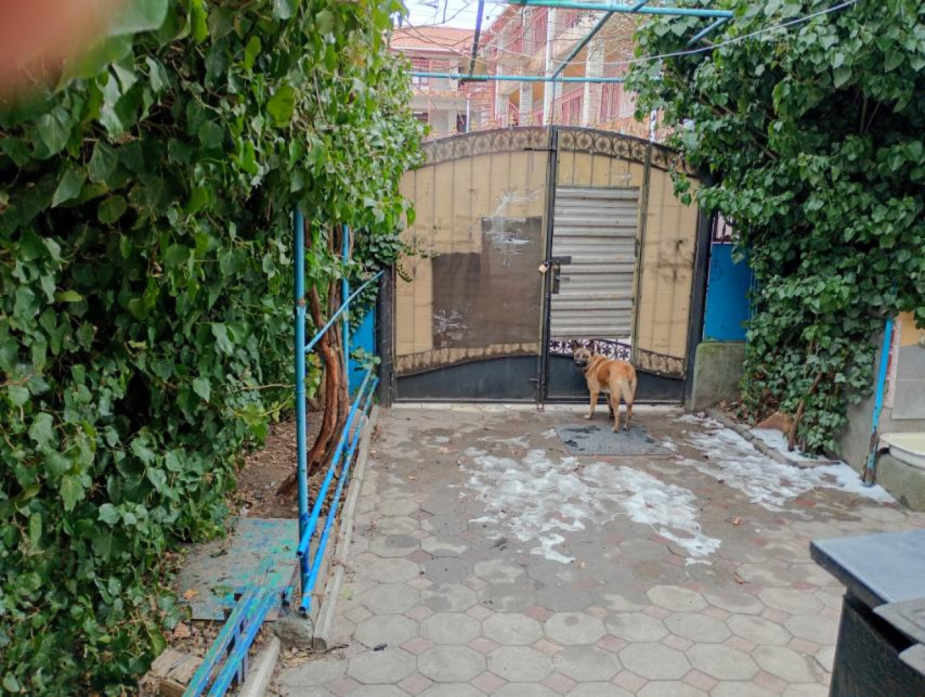 Дом 8 комнат 288 м² Затока, Украина