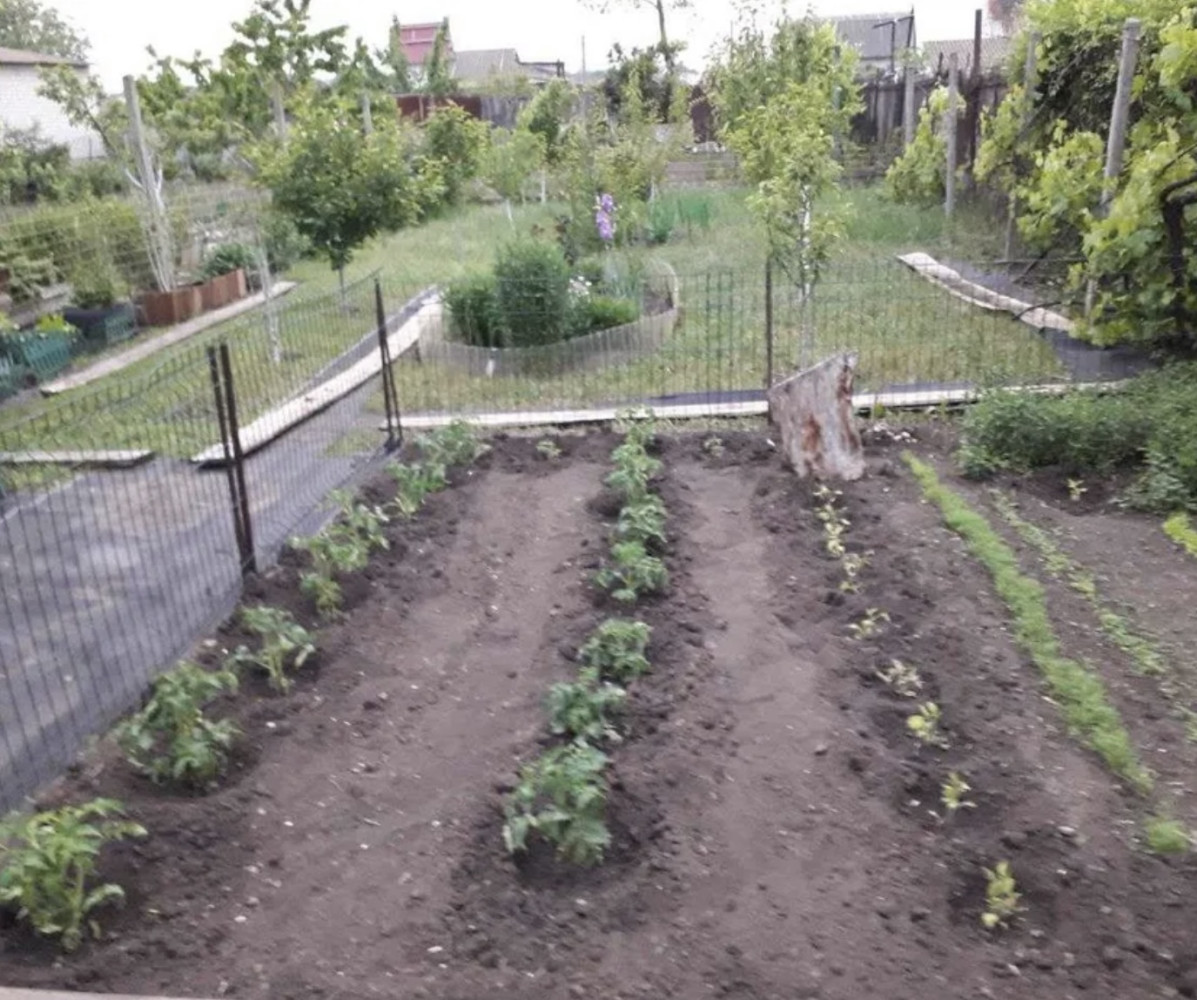 Дом 2 комнаты 52 м² Нерубайское, Украина