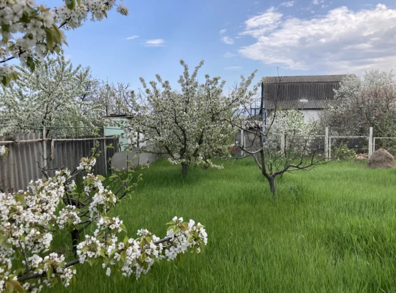 Haus 5 zimmer 220 m² Cholodna Balka, Ukraine