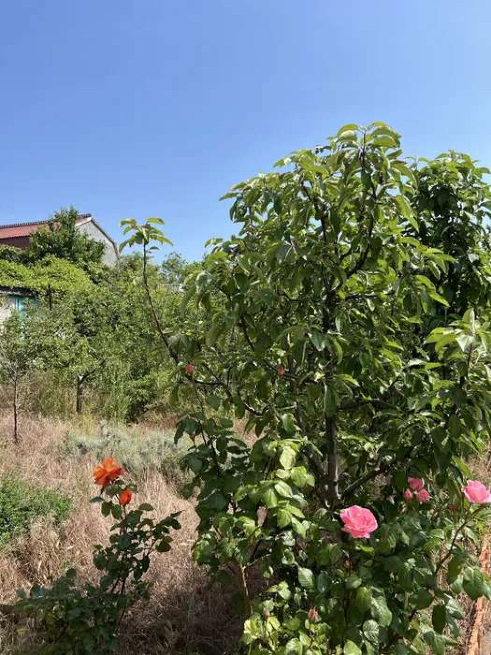 3 room house 120 m² Ovidiopol, Ukraine