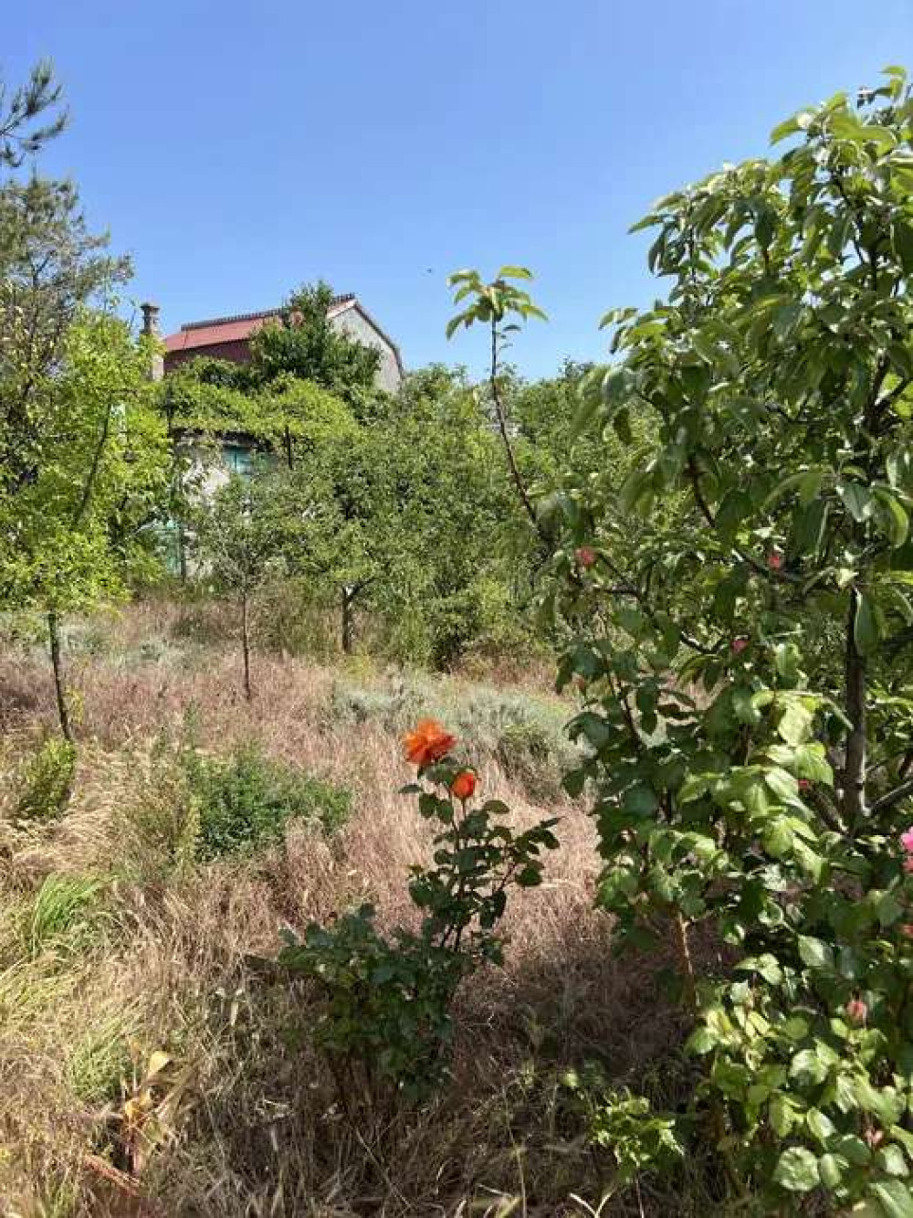 3 room house 120 m² Ovidiopol, Ukraine