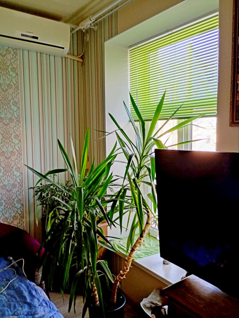 Zimmer 1 zimmer 28 m² Odessa, Ukraine