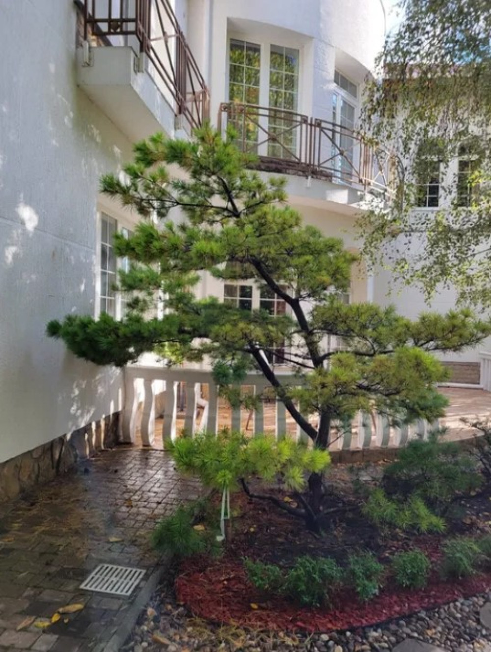 Dom 6 pokojów 650 m² Odessa, Ukraina