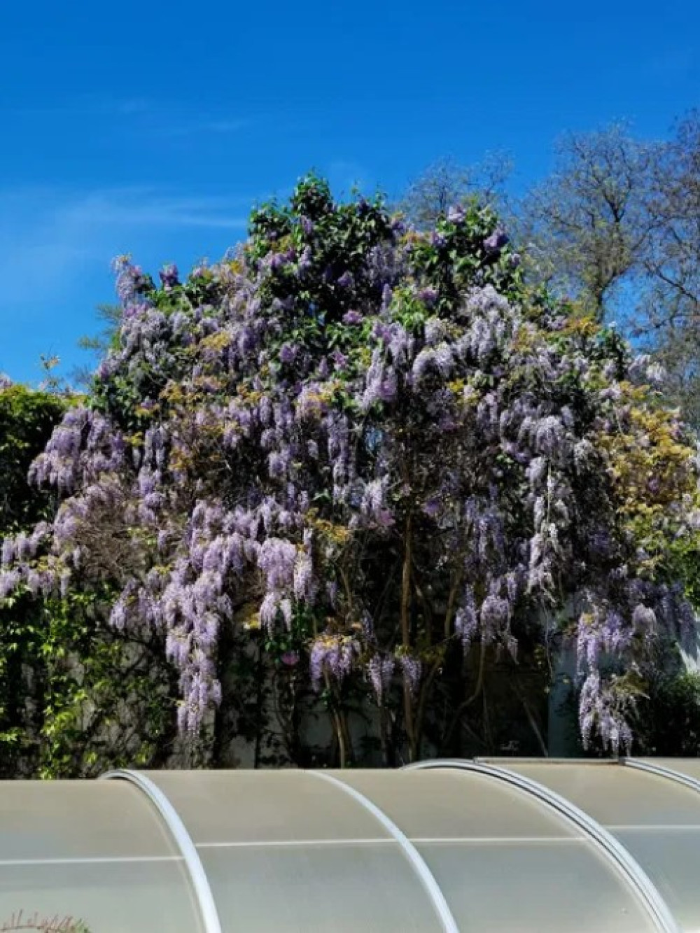 Dom 6 pokojów 650 m² Odessa, Ukraina