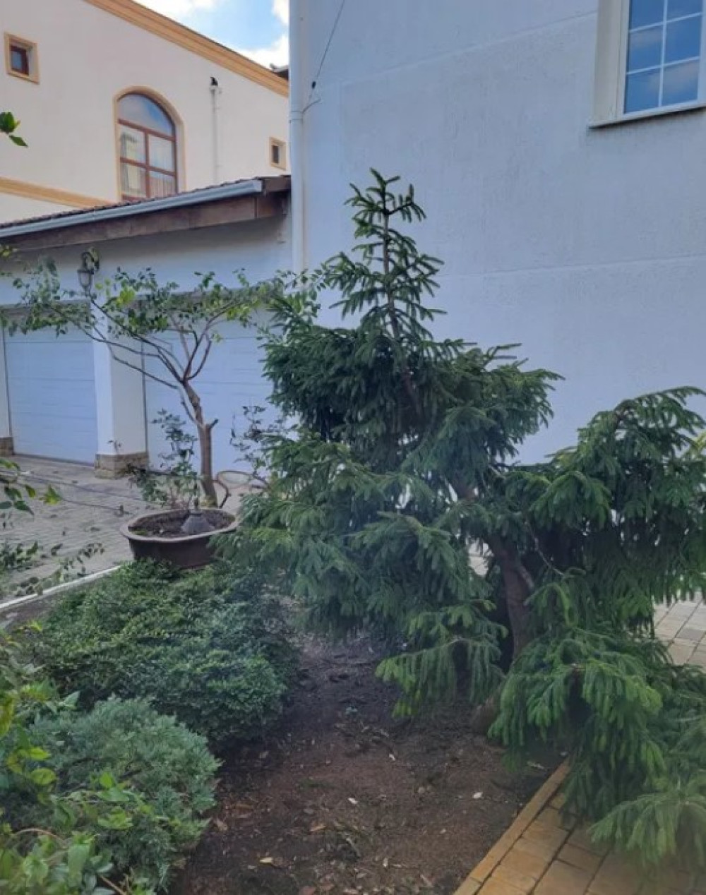 Dom 6 pokojów 650 m² Odessa, Ukraina